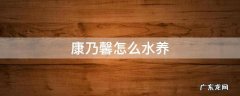 康乃馨怎么水养加盐 康乃馨怎么水养