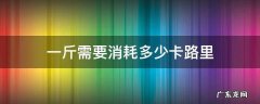 一斤需要消耗多少卡路里 1斤等于消耗多少卡路里