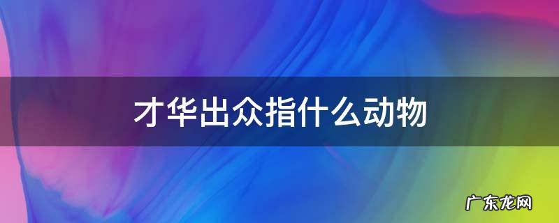 才华出众指什么动物 比喻才华出众的人的动物