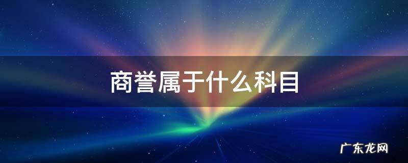商誉属于什么科目? 商誉属于什么科目