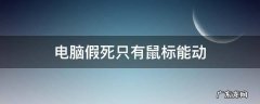 电脑假死只有鼠标能动 开机后电脑假死只有鼠标能动