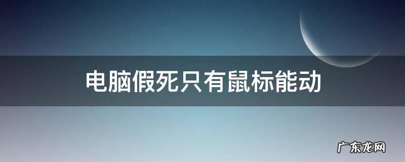电脑假死只有鼠标能动 开机后电脑假死只有鼠标能动