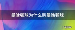 曼哈顿球为什么叫曼哈顿球 曼哈顿球是干嘛的