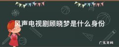 风声电视剧顾晓梦是什么身份 风声中的顾晓梦是谁演的