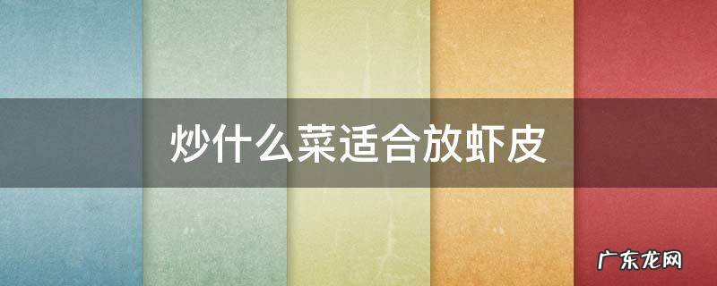 炒什么菜适合放虾皮 虾皮炒什么菜最好吃窍门
