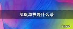 凤凰单枞是什么茶夏天能喝吗 凤凰单枞是什么茶