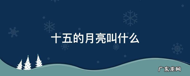 十五的月亮叫什么 十五的月亮叫什么词语