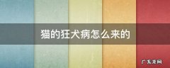 猫是怎么得上狂犬病的 猫的狂犬病怎么来的