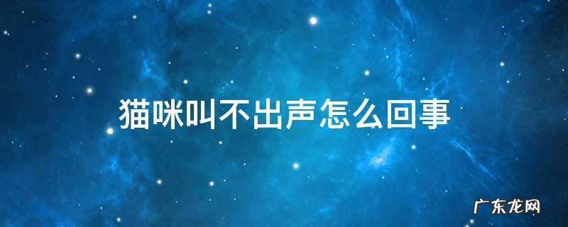 猫咪叫不出声怎么回事 猫咪叫不出声怎么回事还总是咽口水