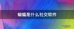 蝙蝠交友软件是干嘛的 蝙蝠是什么社交软件