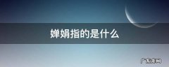 但愿人长久千里共婵娟其中婵娟指的是什么 婵娟指的是什么
