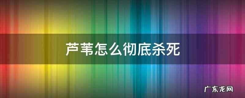 芦苇怎么彻底杀死 杀死芦苇的根治方法