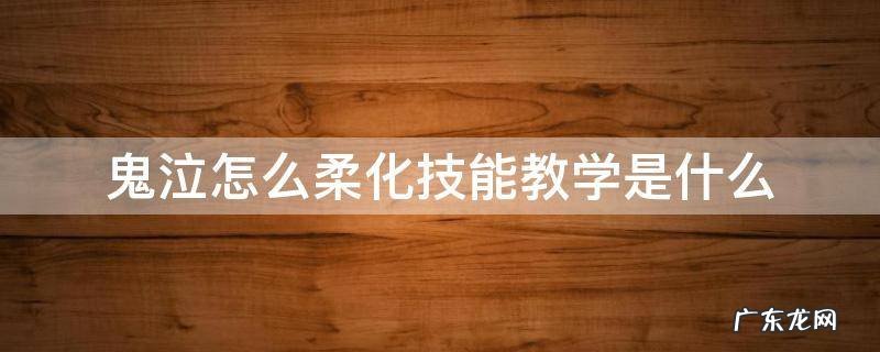 鬼泣怎么柔化技能教学是什么 地下城鬼泣怎么柔化技能视频教学