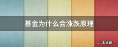基金涨跌是为什么 基金为什么会涨跌原理
