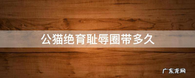 公猫绝育需要带多少天耻辱圈 公猫绝育耻辱圈带多久