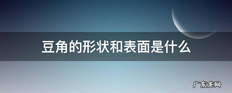 豆角的形状和表面是什么 豆角的形状和表面是什么样的