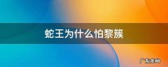 蛇王为什么怕黎簇 蛇王为什么不咬黎簇