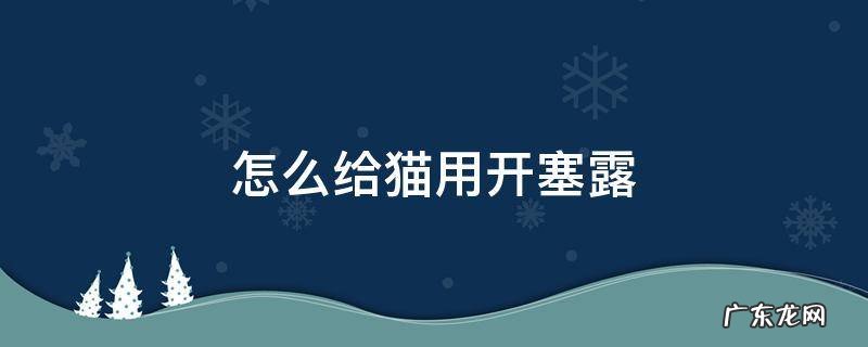 怎么给猫用开塞露 怎么给猫用开塞露用多少