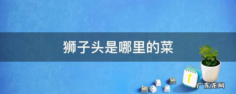 狮子头是哪里的菜 狮子头是哪里的菜系