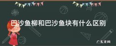 巴沙鱼柳和巴沙鱼块有什么区别