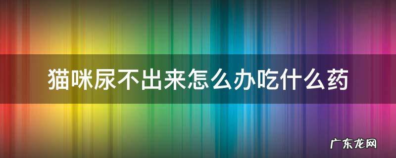 猫咪尿不出尿怎么办,喂什么药 猫咪尿不出来怎么办吃什么药