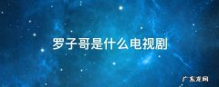 罗子哥是什么电视剧 罗子哥是什么电视剧?