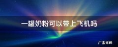 一罐奶粉可以带上飞机吗 坐飞机可以带一罐奶粉吗