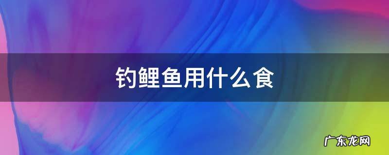 钓鲤鱼用什么食 钓鲤鱼用什么食物