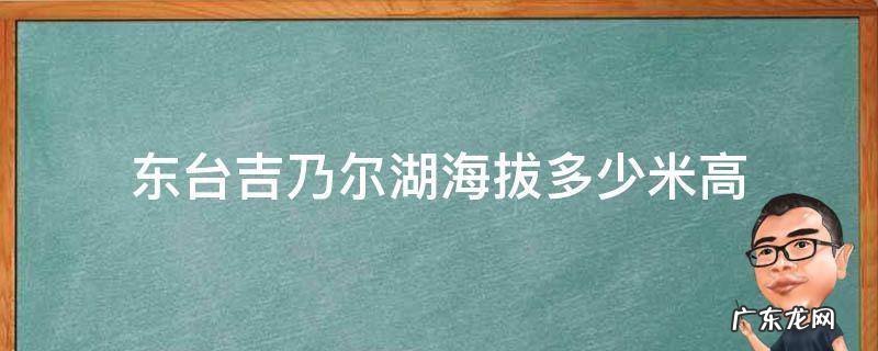 东台吉乃尔湖海拨有多高 东台吉乃尔湖海拔多少米高