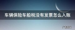 车辆保险车船税没有发票怎么入账 车辆保险车船税没有发票吗