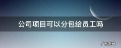 公司项目可以分包给员工吗 工程分包给公司员工