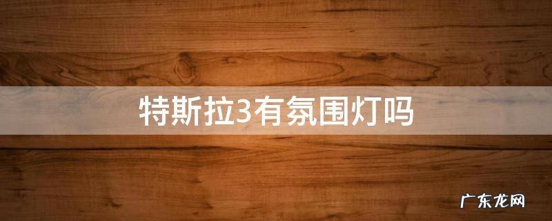 特斯拉3原车氛围灯 特斯拉3有氛围灯吗