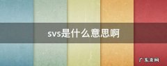 svs中文全称是什么意思 svs是什么意思啊