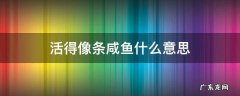 活得像一条咸鱼是什么意思 活得像条咸鱼什么意思