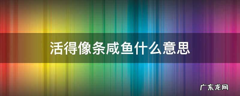 活得像一条咸鱼是什么意思 活得像条咸鱼什么意思