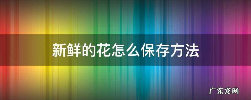 新鲜的花怎么保存方法 鲜花怎么能保存