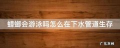 蟑螂会游泳么?怕水么? 蟑螂会游泳吗怎么在下水管道生存