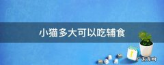 小猫多大可以吃辅食 小猫多大可以开始吃辅食