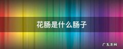 花肠是什么肠子 花肠是大肠吗