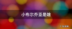 小布尔乔亚是啥 小布尔乔亚是啥意思