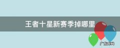 王者十星新赛季掉哪里 王者十星新赛季掉哪里2022