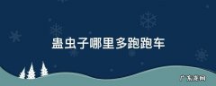 蛊虫子哪里多跑跑车 蛊虫子哪里多跑跑车网