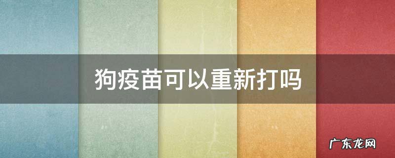 狗疫苗可以重新打吗 狗狗不知道有没有打疫苗能不能重打