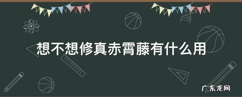 想不想修真赤云石和赤霄藤 想不想修真赤霄藤有什么用