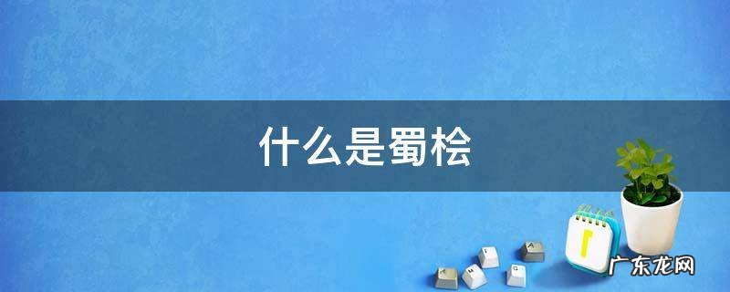 什么是蜀桧 蜀桧别名叫什么