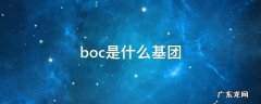 boc基团结构 boc是什么基团
