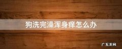 小狗洗澡后身上痒怎么办 狗洗完澡浑身痒怎么办