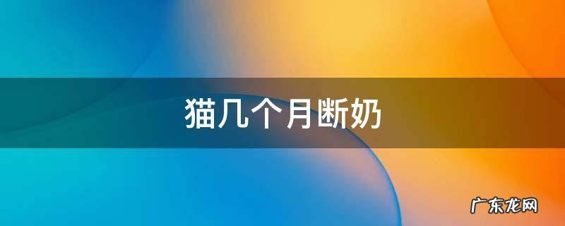 狸花猫几个月断奶 猫几个月断奶