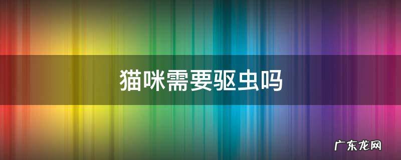 不外出的猫咪需要驱虫吗 猫咪需要驱虫吗