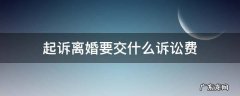 起诉离婚诉讼费需要多少钱谁来支付吗 起诉离婚要交什么诉讼费